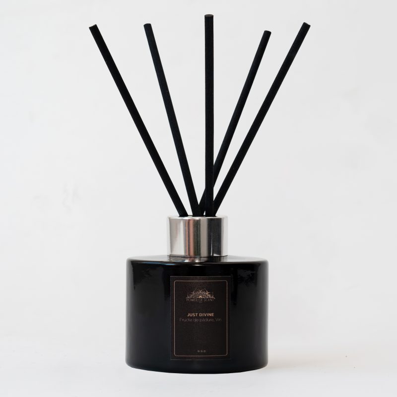 Parfum de camera cu betisoare Just Divine