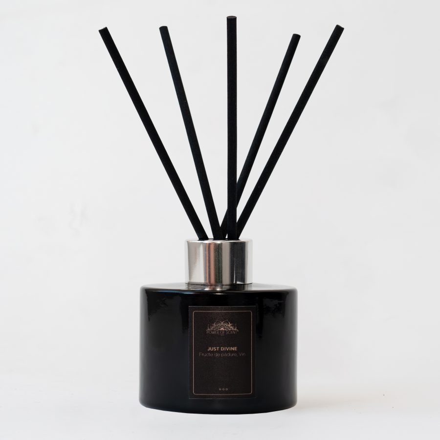 Parfum de camera cu betisoare Just Divine